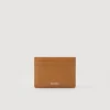 Porta Carte In Pelle Liscia>Sandro Paris Shop